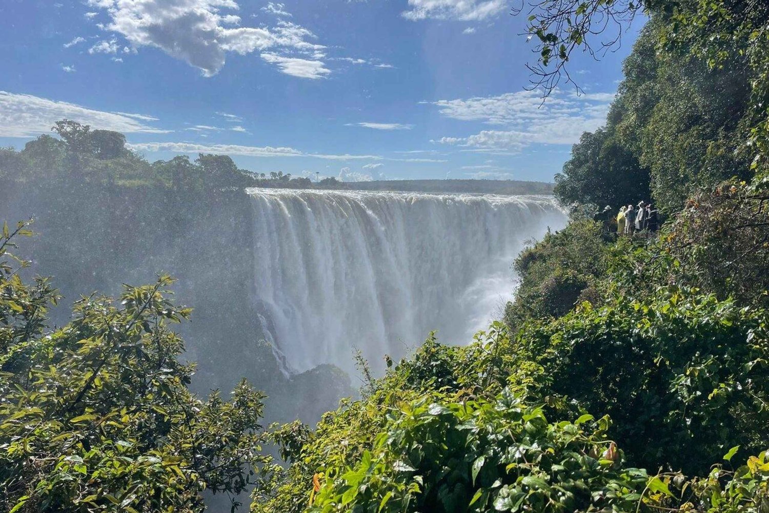 Victoria Falls Full Day Experience